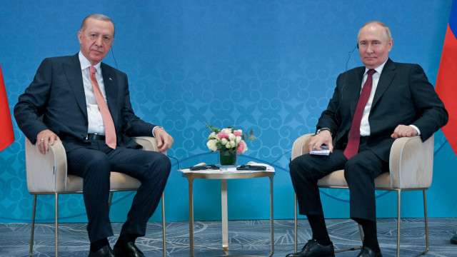 Erdogan offers to mediate end to Ukraine war, Putin refuses